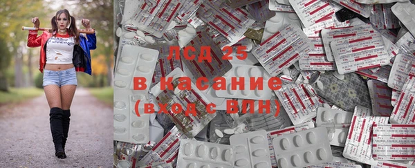 PSILOCYBIN Навашино