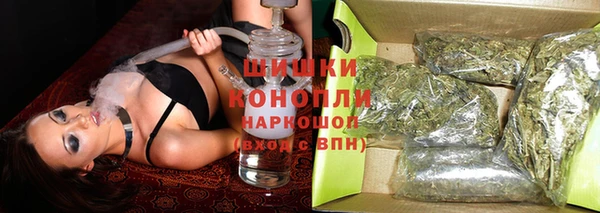PSILOCYBIN Навашино